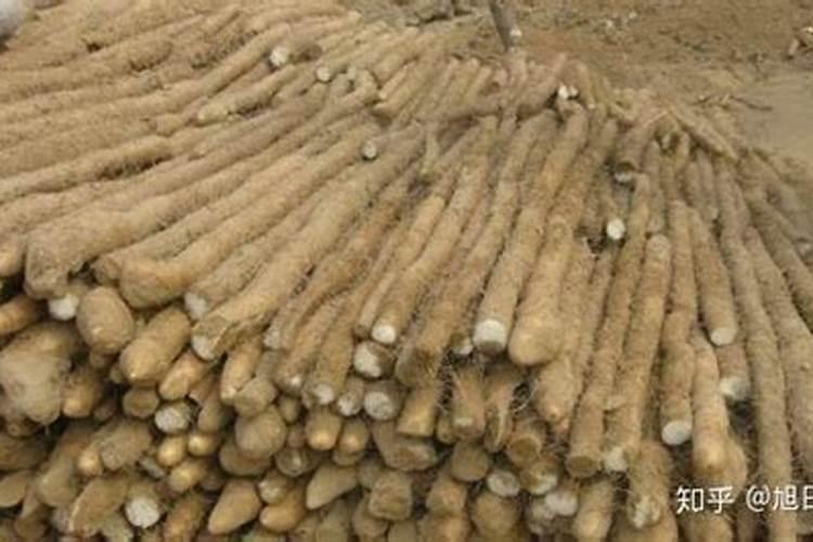 山药低肥每亩用磷酸二安多少斤高产