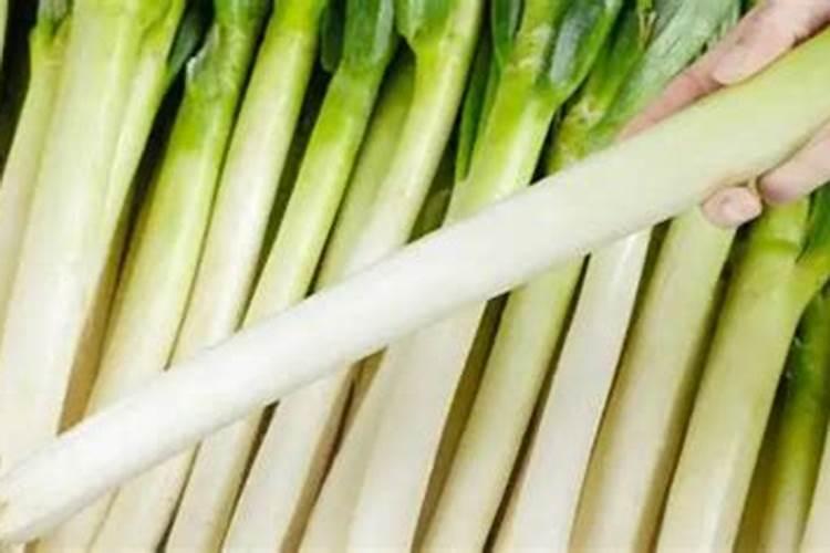 打大葱能一直用芸苔素吗