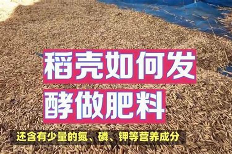 枕头里掏出一把芯,扔花盆里,绿萝吊兰长疯了!