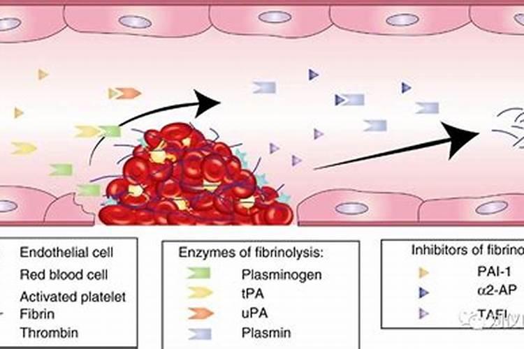 大量元素母液贮存一段时间后容易产生絮状沉淀,这是为什么