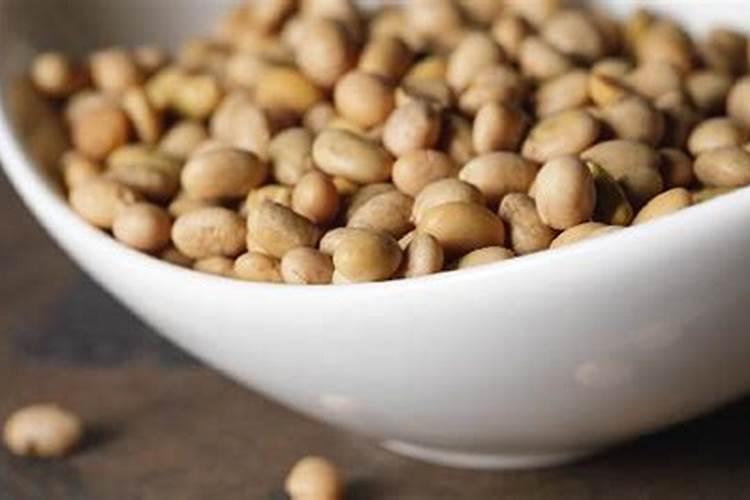 黄豆水是氮肥还是磷肥