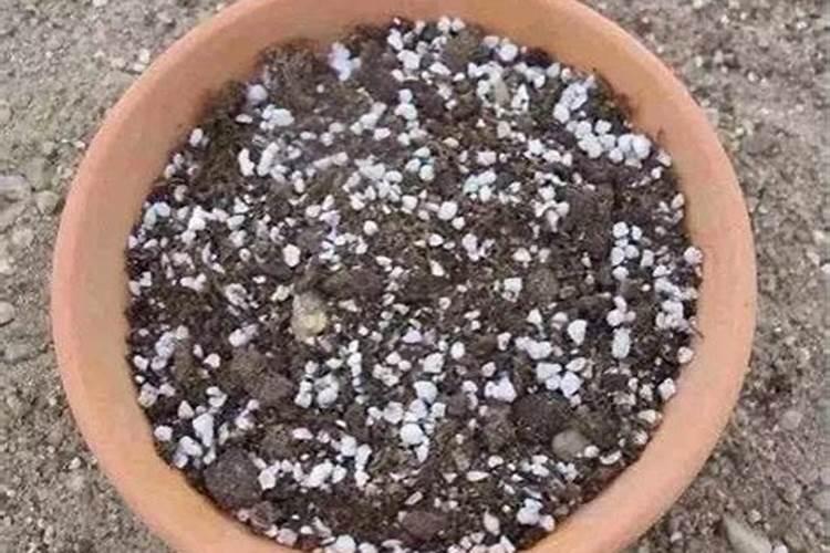 氮肥养花使用方法 氮肥养花的作用及使用方法