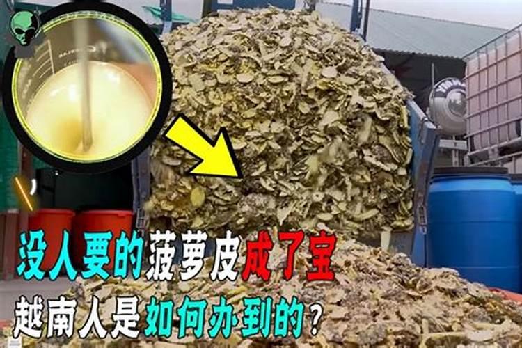 水果食品加工厂里的果皮怎么处理