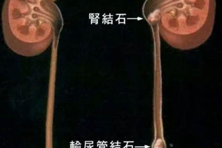 尿素和硝酸铵钙哪个肥效期长 尿素的主要成分是什么