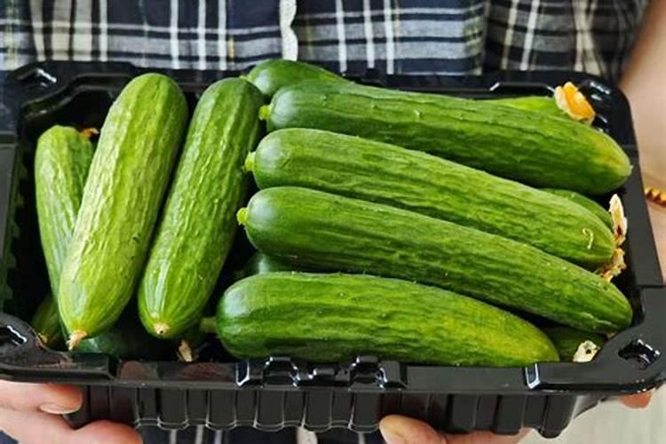 黄瓜花打顶时喷什么药