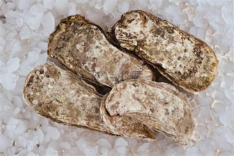 吃什么食物补锌效果好