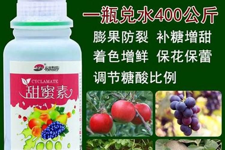 沙糖桔树能喷甜蜜素吗怎么喷