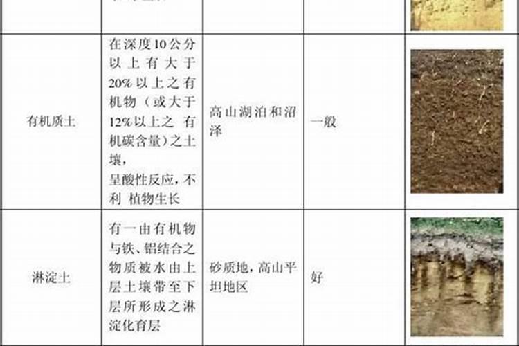 怎样才能种好葱呢？