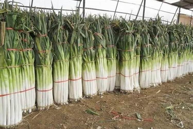 圣泉集团是国企还是私企