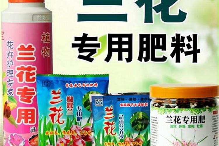 最好的兰花肥专用肥哪种最好