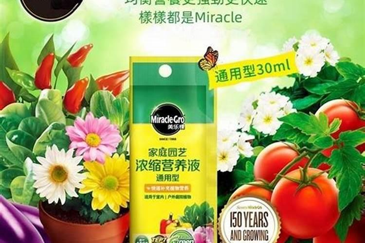 适合多肉的肥料有哪些