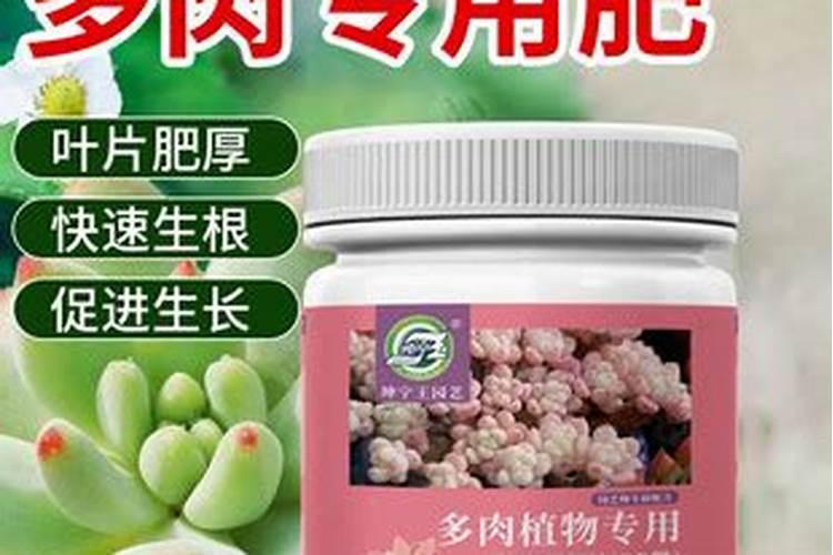多肉适合用什么肥料 最常用的有哪些