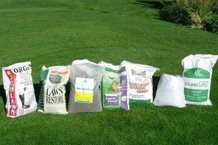 草坪常用的磷肥有哪些？