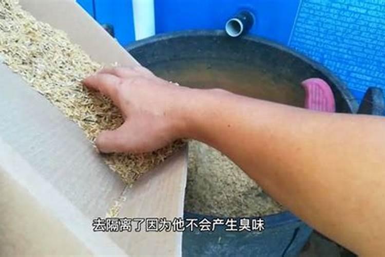 小米坏了怎么发酵成肥料