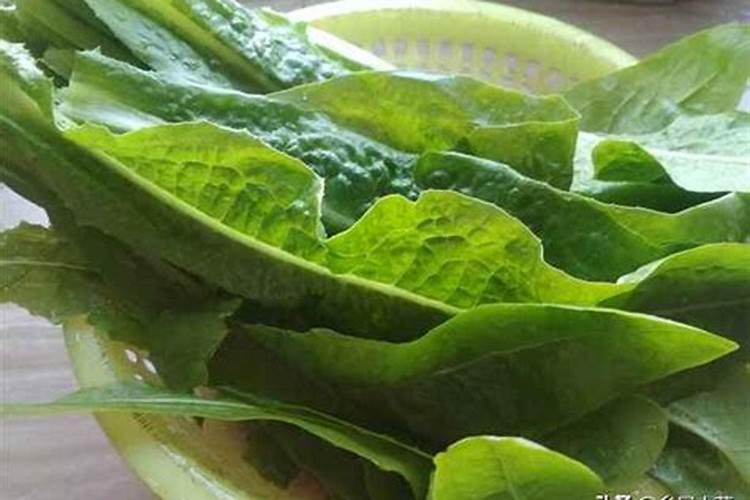 吃什么补钾最快最好 补钾的菜品有哪些