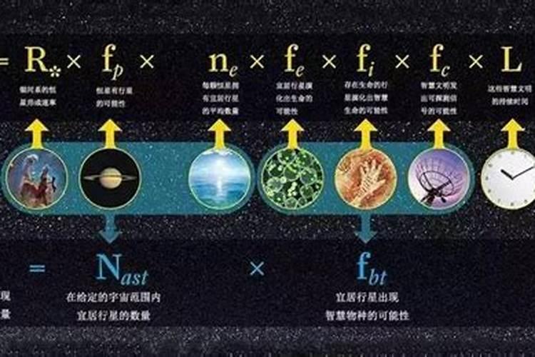 请问什么是中量元素？