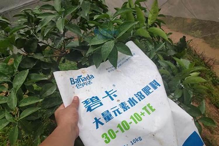 磷酸二氢钾跟什么搭配最好