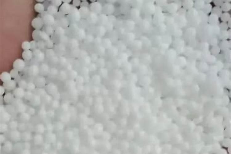 防止佛手掌烂叶的方法