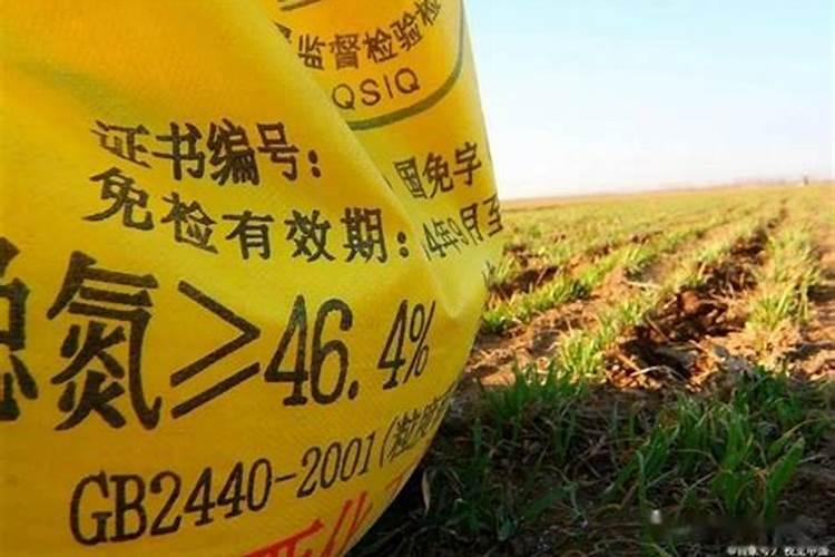 草铵膦和草甘膦哪个好 除草范围对比大全