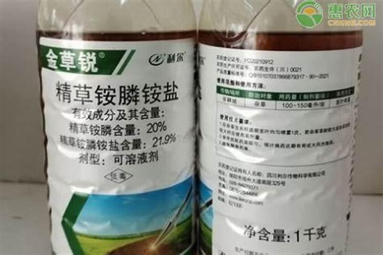 今年种植的石榴树面,地里香附子特别多,可以使用草甘膦吗