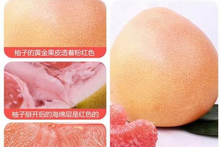 蜜柚什么时间施镁肥