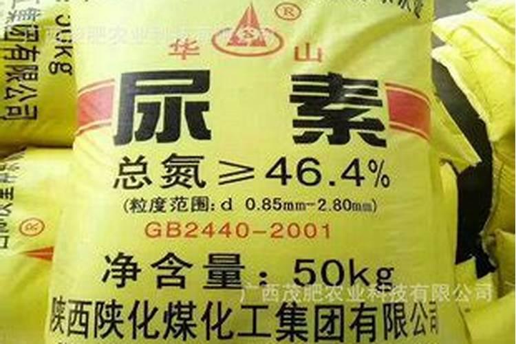 金水宝胶囊的功效和作用,金水宝胶囊的功效有哪些