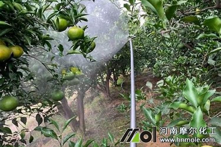 烟草花叶病怎样治疗？