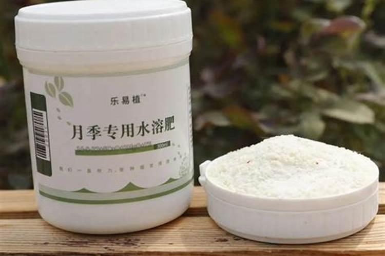 君子兰要在什么季节施肥