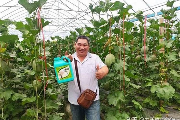 水溶肥的优势前景