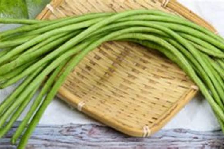 豇豆的高产施肥方法