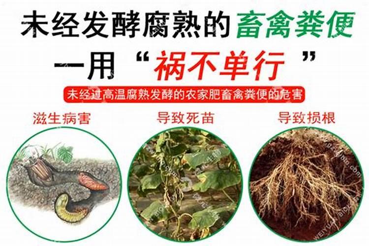 堆肥发酵菌种适用范围