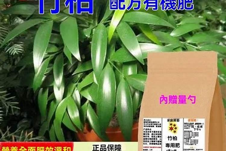 哪种水生植物净化水质效果最好