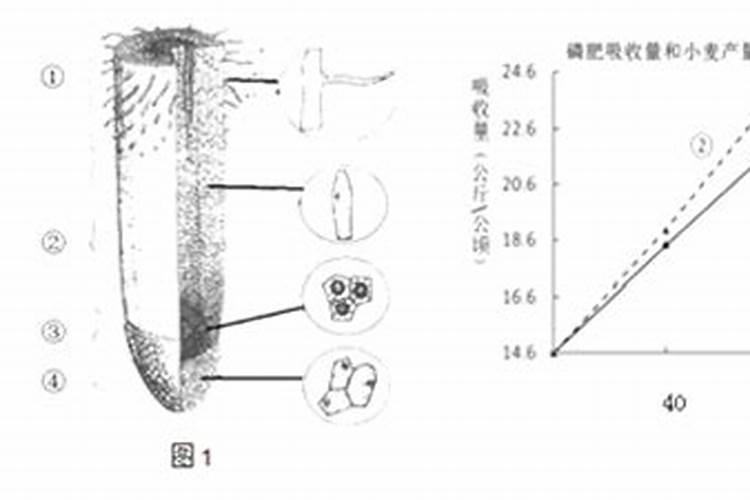 磷肥的生产过程复杂么,我想自己开厂生产,需要学习什么知识啊？