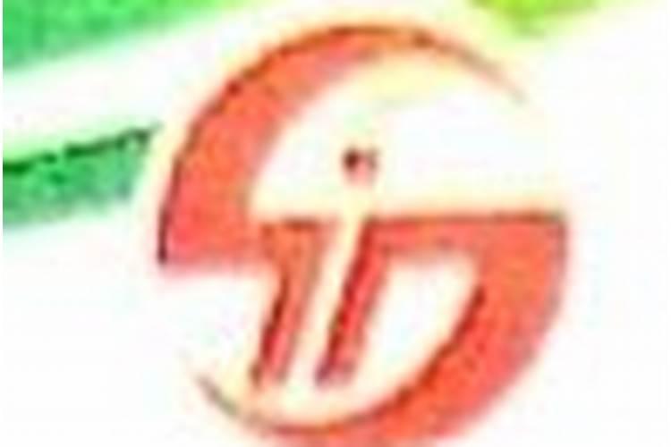 盐城比较有名的企业有哪些？