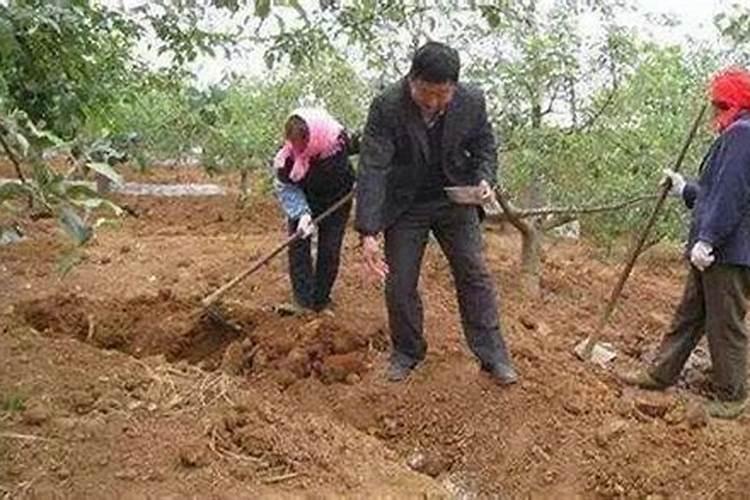 控释肥作底肥好还是作追肥好