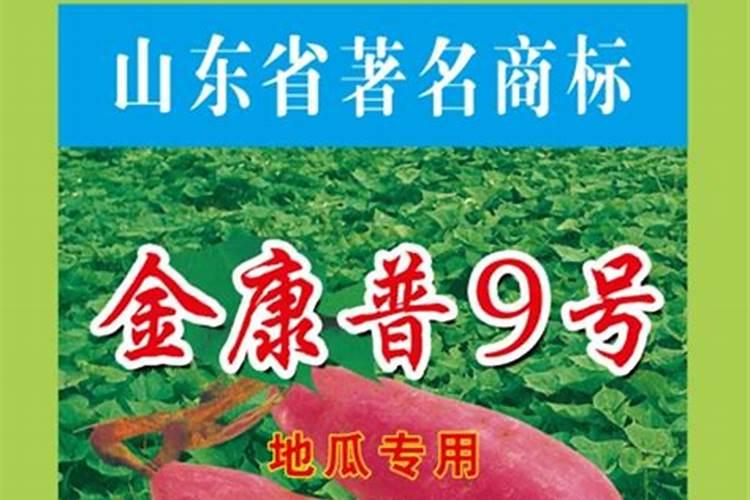 红薯专用肥最佳配方