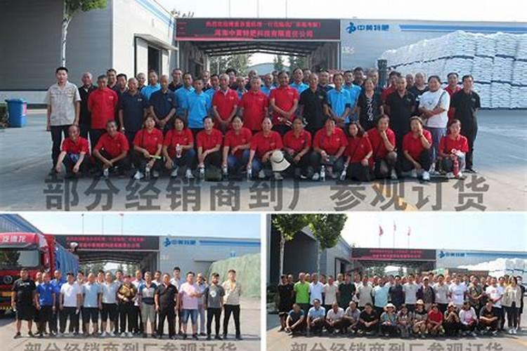 多效锌肥哪里有卖的啊