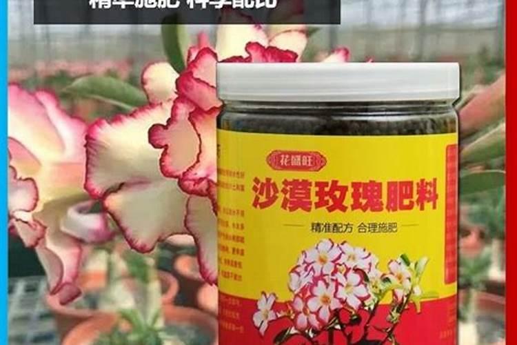 沙漠玫瑰,怎么施肥