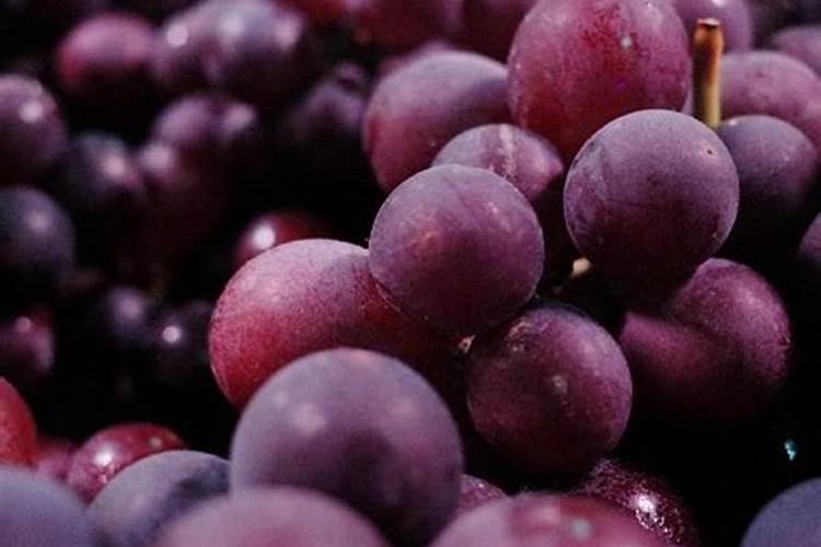 葡萄皮太薄是什么原因造成的