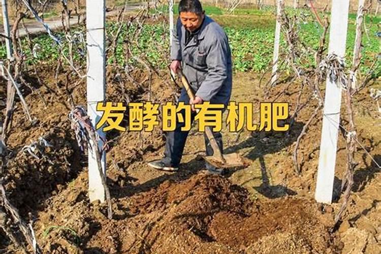 有机肥与水溶肥混合施？