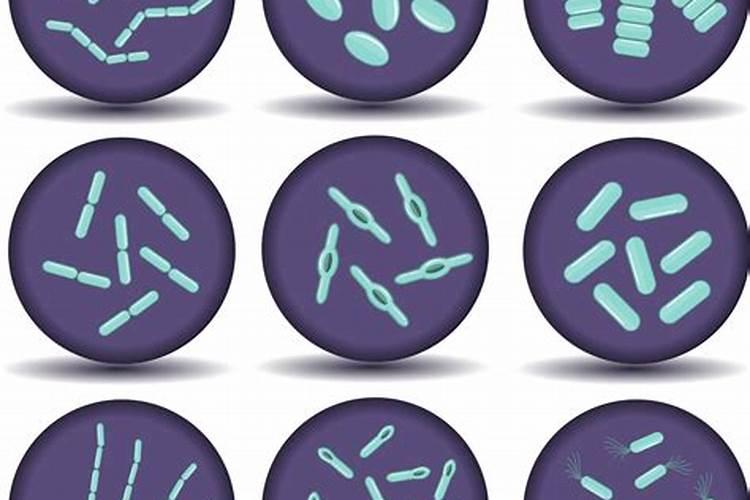 杭州甲鱼肽品牌有哪些？杭州甲鱼肽品牌哪家强？(中得)