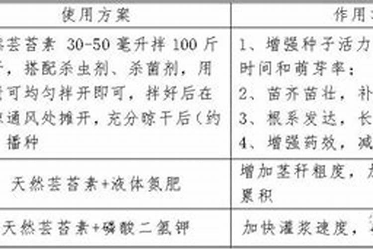 玉米啥时候打芸苔素？