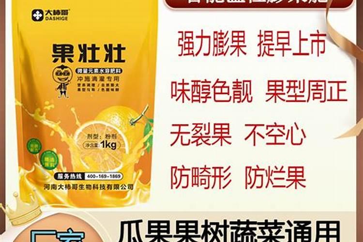 草莓各个时期的施肥方案草莓施肥时间和方法