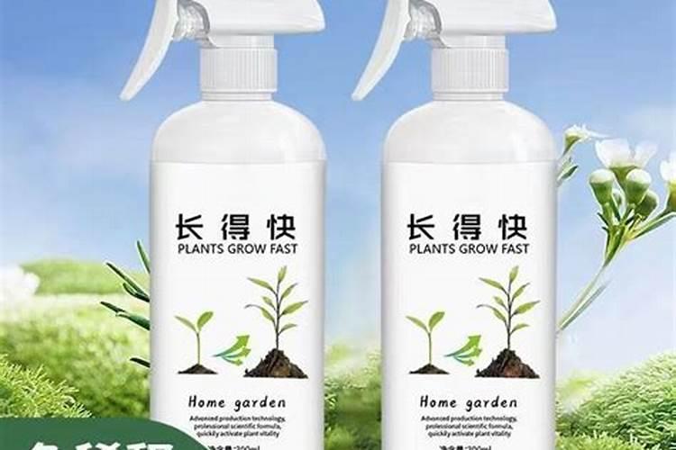 花卉叶面肥多久喷一次比较好 叶面肥打多了有害吗
