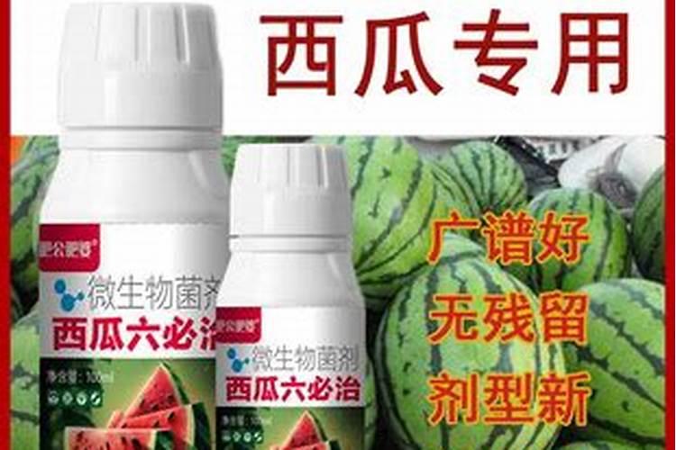 西瓜苗栽了三天能用叶面肥吗？