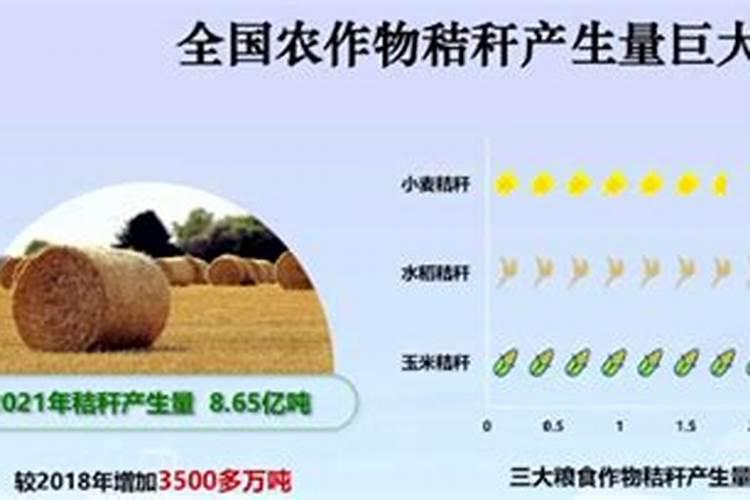 化肥把蒜叶烧了怎么办