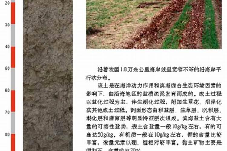 水田淹水期不宜施用哪种氮肥？