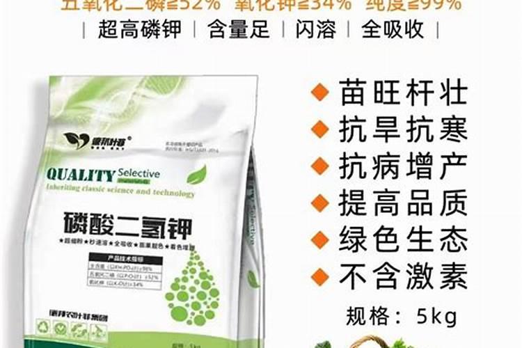 果树怎样施硼肥？