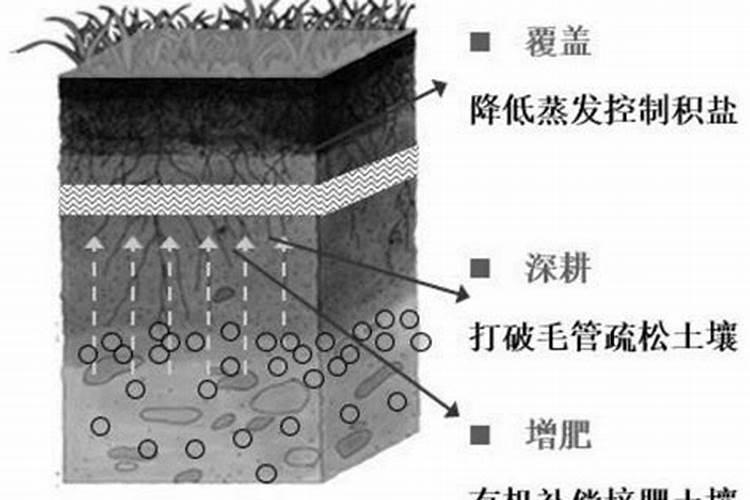 黄土粘性大怎么改良 黄土能种菜吗