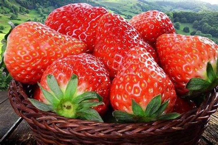 富硒草莓的特点什么样的富硒技术才能种植富硒草莓
